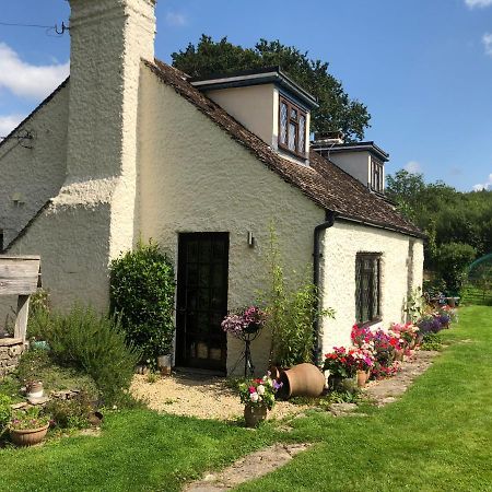 Chaseborough Farm Bed & Breakfast Verwood Exterior photo