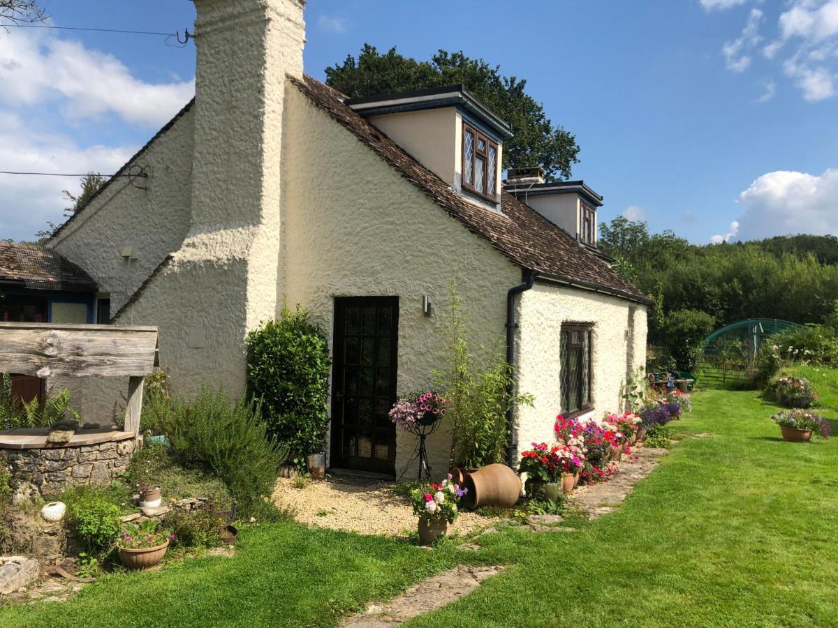 Chaseborough Farm Bed & Breakfast Verwood Exterior photo