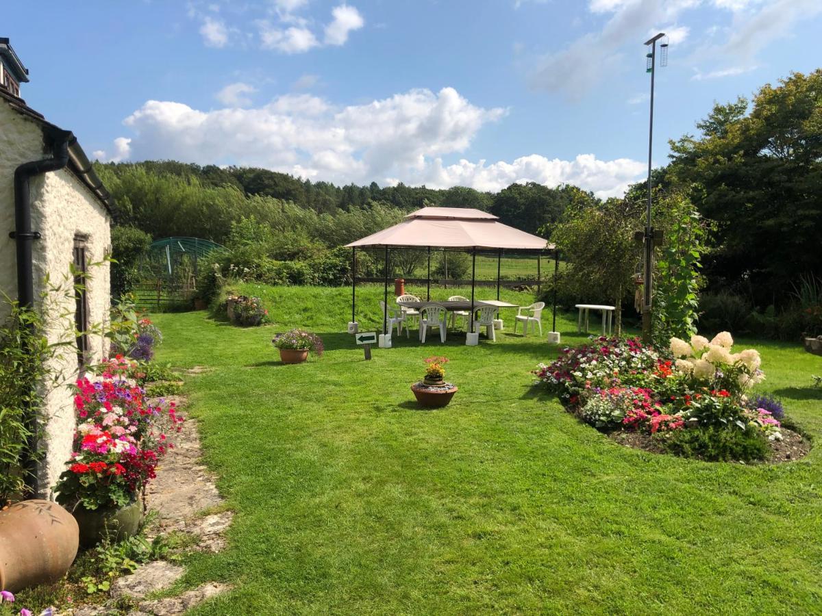 Chaseborough Farm Bed & Breakfast Verwood Exterior photo