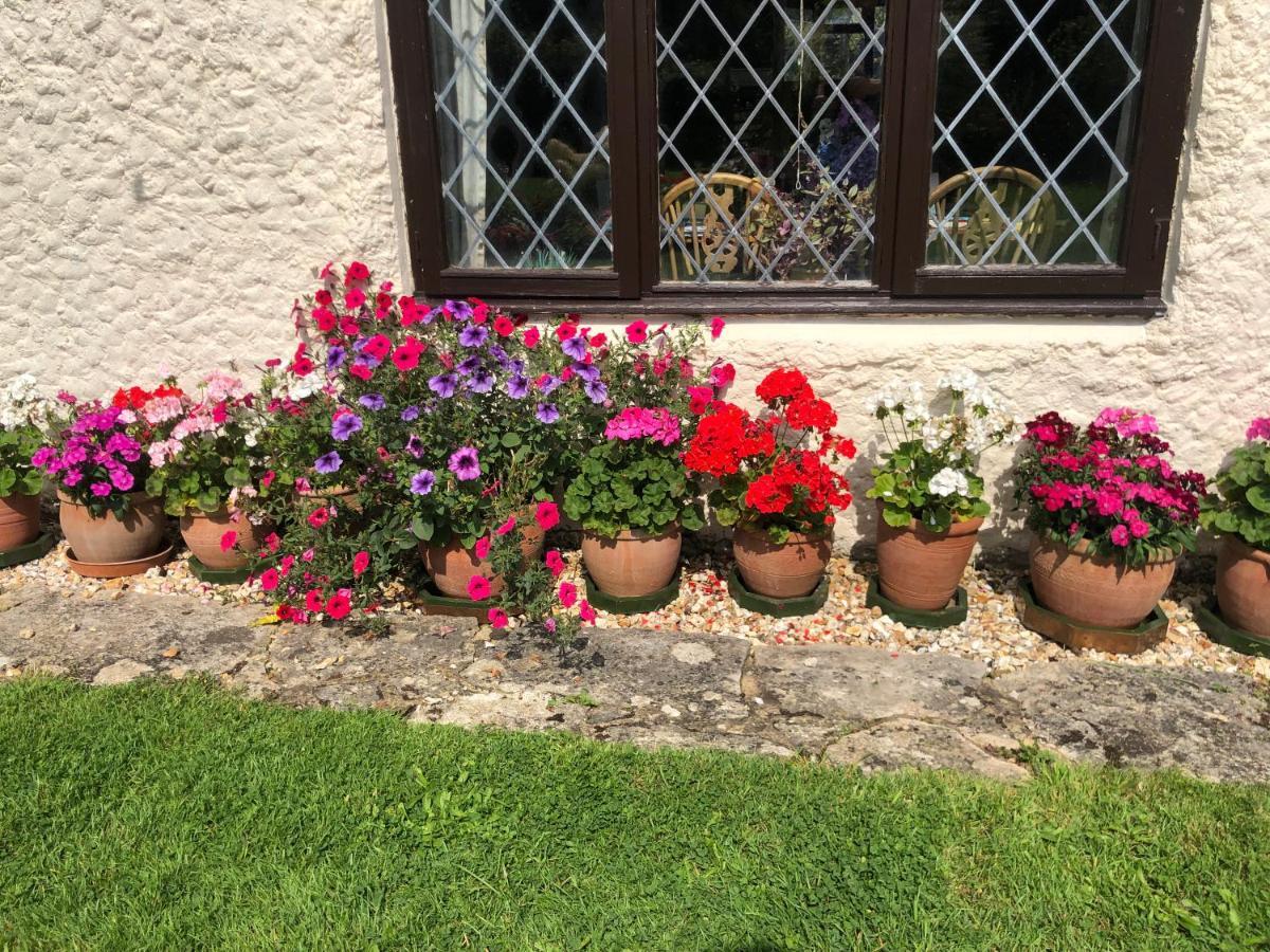 Chaseborough Farm Bed & Breakfast Verwood Exterior photo