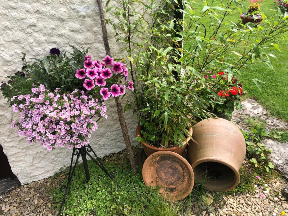 Chaseborough Farm Bed & Breakfast Verwood Exterior photo